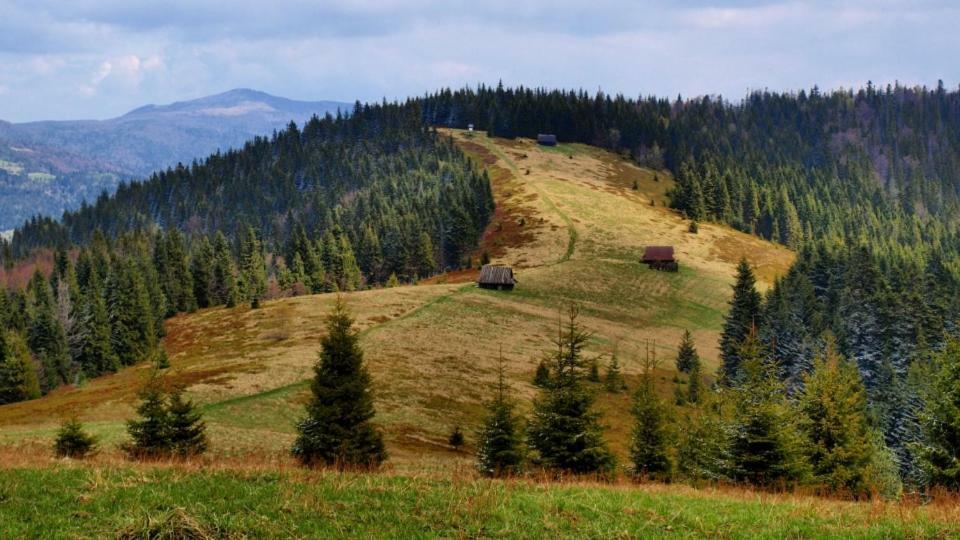 Wasielowka Poręba Wielka 외부 사진
